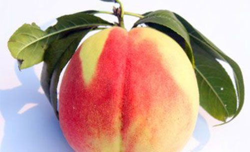 �и��ܳ������� �����ӵ�ע������